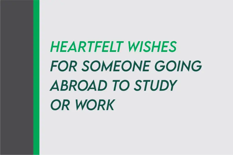 [2024] Best Wishes For Someone Going Abroad To Work Or Study